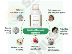 Magnésium Liposomal - 250ml | SANUSq Health