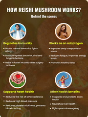 Reishi champignon gélules (végétales) - 300 mg | SANUSq Health