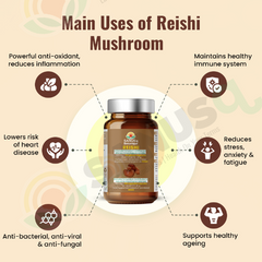 Reishi champignon gélules (végétales) - 300 mg | SANUSq Health