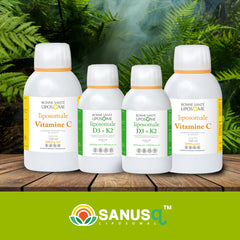 Immune system boosting bundle