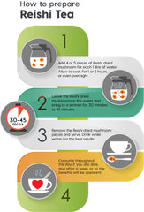 Reishi - Ganoderma lucidum - Tranches de Lingzhi séché | SANUSq Health