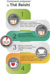 Reishi - Ganoderma lucidum - Tranches de Lingzhi séché | SANUSq Health