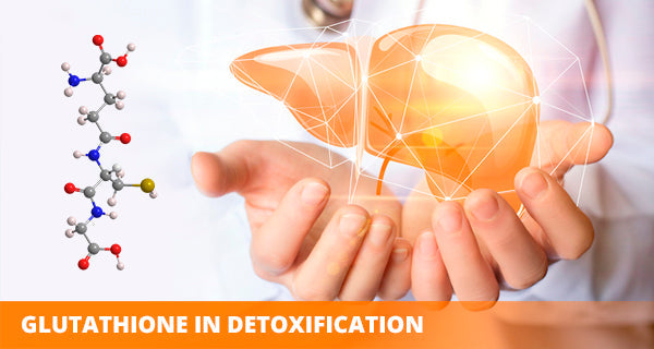glutathione as anitoxidant