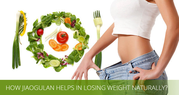 Jiaogulan + Weight Loss
