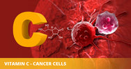vitamin c fights cancer