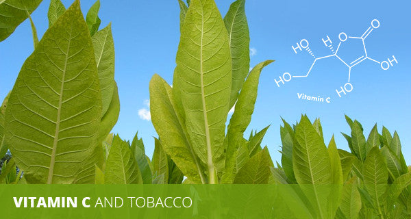 La vitamine C et le tabac