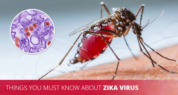 Zika Virus Outbreak