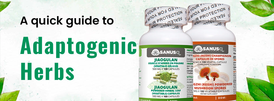 Adaptogenic herbs — Holy Basil, Ashwagandha, Jiaogulan, Reishi and Rhodiola reduce stress and restore balance
