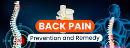 Back pain prevention and remedies — exercise, posture, nutrition and stretching reduce both acute and chronic back pain