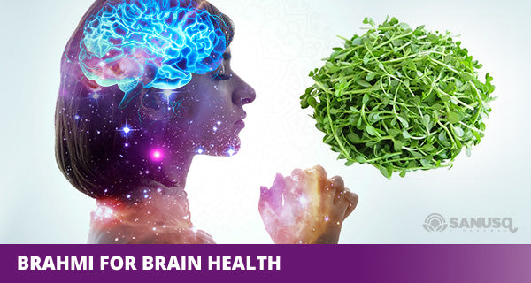 Incredibile benefits of brahmi for your brain health