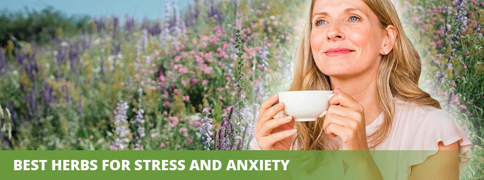 SANUSq Health guide to the best herbs for stress and anxiety, a woman relaxing with tea in a flowering meadow
