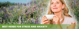 SANUSq Health guide to the best herbs for stress and anxiety, a woman relaxing with tea in a flowering meadow