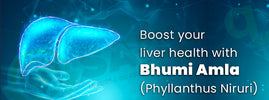 Bhumi Amla for liver health — Ayurvedic herb supports detoxification, protects liver cells and aids in 500+ liver functions