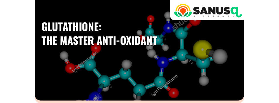Glutathione — the master antioxidant — depends on magnesium for its synthesis, detox and immune support