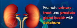 Gokshura for urinary and prostate health — Ayurvedic herb supports genito-urinary system and reduces urinary symptoms