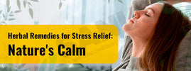 Herbal remedies for stress relief — adaptogens like ashwagandha, holy basil and rhodiola offer nature's calm gently