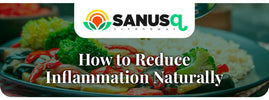 Inflammatory foods to avoid — gluten, processed oils, trans fats and sugar that drive chronic inflammation