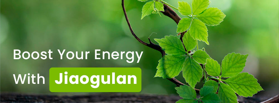 Boost energy with Jiaogulan — Herb of Immortality fights fatigue, reduces stress and rejuvenates the body naturally