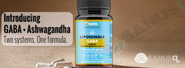 SANUSq Health compares how GABA and KSM-66 ashwagandha work together to ease stress and support mood
