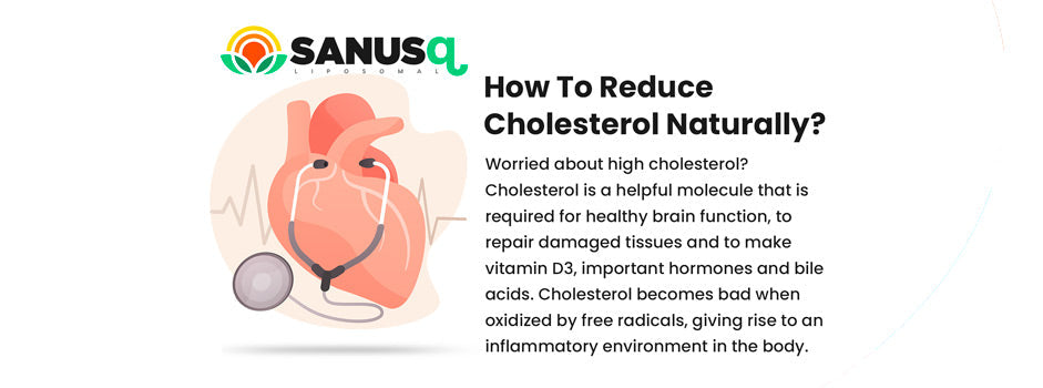 Heart disease is preventable and reversible — natural ways to lower oxidised LDL and protect arteries