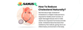Heart disease is preventable and reversible — natural ways to lower oxidised LDL and protect arteries
