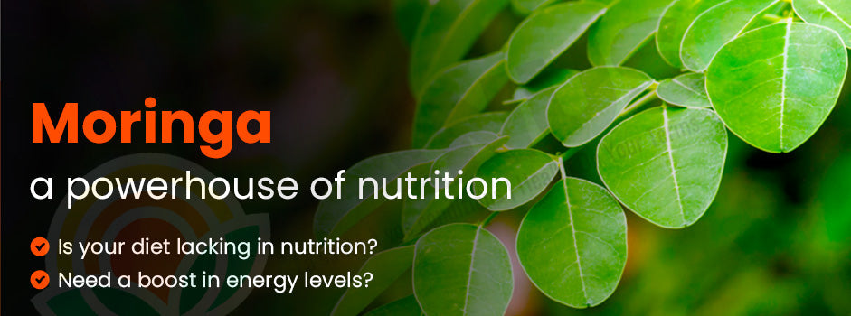 Moringa — nutritional powerhouse with more vitamin C than oranges, more potassium than bananas, more calcium than milk