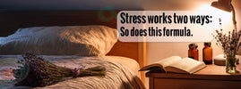 Peaceful bedside scene with lavender and supplement bottles representing a dual-action formula for stress relief and calm