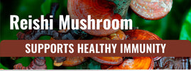 Support your heart this winter with Reishi — adaptogenic mushroom helps the cardiovascular system handle cold-weather demands