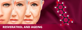 Resveratrol and ageing – skin ageing progression with resveratrol molecular structure