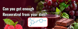 Amazing health benefits of resveratrol — antioxidant polyphenol from grapes supports heart, longevity and cellular health