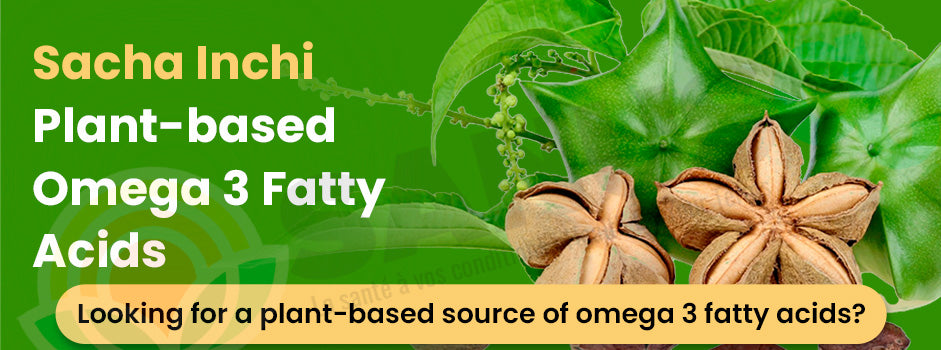 Sacha Inchi plant-based omega 3 — debunking dietary fat myths and the case for healthy fatty acids in your d