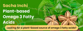 Sacha Inchi plant-based omega 3 — debunking dietary fat myths and the case for healthy fatty acids in your d