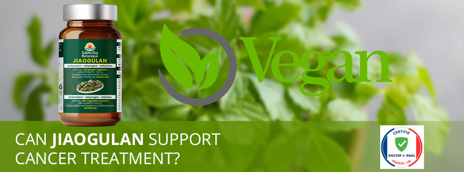 Can Jiaogulan support cancer treatment? SANUSq Botanique vegan capsules – DGCCRF and DGAL certified