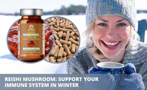 SANUSq Health Reishi Mushroom supplement for winter immune system support – natural capsules for seasonal wellness