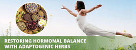 Restoring hormonal balance with adaptogenic herbs – SANUSq Health