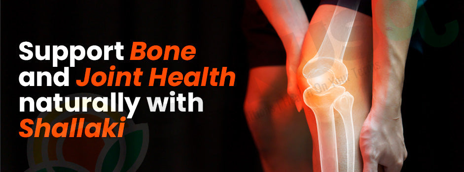 Shallaki for bone and joint health — Boswellia serrata supports cartilage, reduces inflammation and joint pain naturally