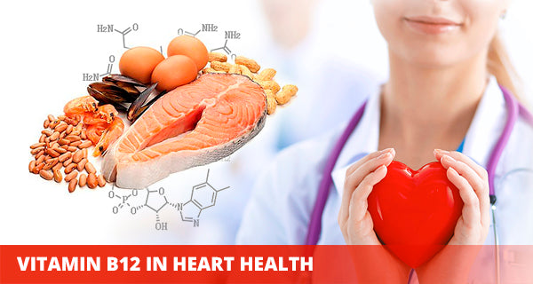 Vitamin b12 in heart health