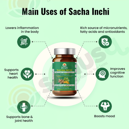 Capsules d’huile de sacha inchi - 500 mg