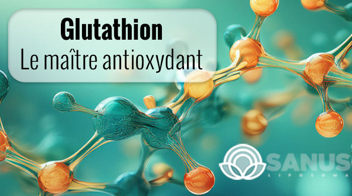 SANUSq Health glutathion liposomal, le maître antioxydant, représenté par une structure moléculaire