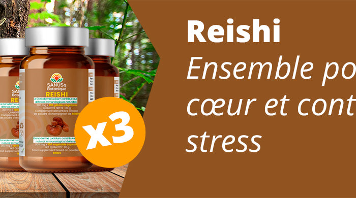 Lot de trois flacons SANUSq Botanique Reishi pour le cœur et contre le stress — SANUSq Health