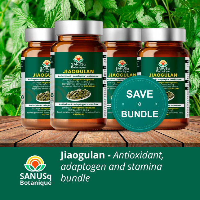 SANUSq Botanique Jiaogulan savings bundle – 4 bottles antioxidant adaptogen and stamina support
