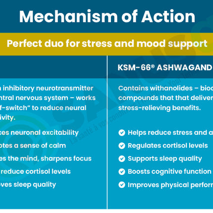 SANUSq Health GABA Ashwagandha KSM-66 mechanism of action – stress mood sleep cortisol benefits
