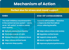 SANUSq Health GABA Ashwagandha KSM-66 mechanism of action – stress mood sleep cortisol benefits